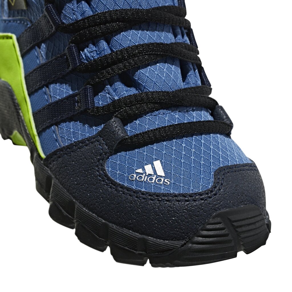 Adidas Apavi Bērniem Terrex Mid Gtx Blue цена и информация | Bērnu zābaki | 220.lv