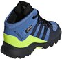 Adidas Apavi Bērniem Terrex Mid Gtx Blue цена и информация | Bērnu zābaki | 220.lv