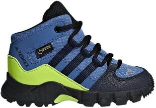 Adidas Детская обувь Terrex Mid Gtx Blue цена и информация | Детские сапоги | 220.lv