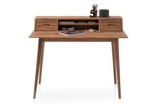 Письменный стол MC Akcent Melbourne, коричневый цена и информация | Компьютерные, письменные столы | 220.lv