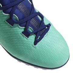 Adidas Apavi Pusaudžiem X Tango 17.3 Tf Green cena un informācija | Futbola apavi | 220.lv