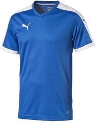 Puma T-krekls Pusaudžiem Pitch Shortsleeved Shirt Blue cena un informācija | Zēnu krekli | 220.lv