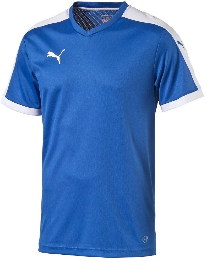 Puma T-krekls Pusaudžiem Pitch Shortsleeved Shirt Blue цена и информация | Zēnu krekli | 220.lv
