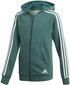 Adidas Džemperis Pusaudžiem Yb 3S Fz Hoodie Green cena un informācija | Zēnu jakas, džemperi, žaketes, vestes | 220.lv