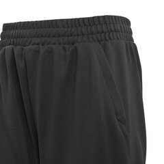 Adidas Bikses Pusaudžiem Yb Lightweight Striker Pants Black cena un informācija | Bikses zēniem | 220.lv