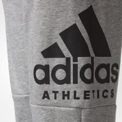 Adidas Штаны для подростков Yb Sid Pants Grey цена и информация | Штаны для мальчиков | 220.lv