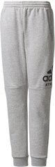 Adidas Bikses Pusaudžiem Yb Sid Pants Grey цена и информация | Штаны для мальчиков | 220.lv