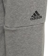 Штаны для подростков Adidas ID Lin Pants Grey цена и информация | Штаны для мальчика ABN-2894/CZA/098 | 220.lv