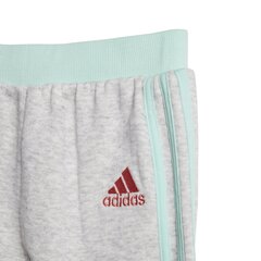 Adidas Sporta Kostīms bērniem I Graph Ft Mint Grey цена и информация | Комплекты для девочек | 220.lv