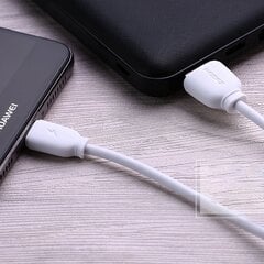 USB кабель Remax RC-134i Lightning 2.1A, белый 1.0 м цена и информация | Кабели для телефонов | 220.lv