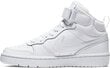 Nike Apavi Pusaudžiem Court Boroudh Mid 2 White цена и информация | Sporta apavi bērniem | 220.lv