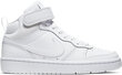 Nike Apavi Pusaudžiem Court Boroudh Mid 2 White цена и информация | Sporta apavi bērniem | 220.lv