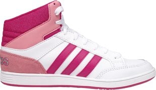 Adidas Neo Обувь для подростков VLNEO HOOPS MID цена и информация | Стильные кеды для детей | 220.lv