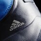 Adidas Apavi Bērniem CW WINTERFUN BOY K cena un informācija | Bērnu zābaki | 220.lv