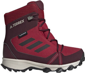Adidas Обувь для подростков Terrex Snow CP CW K Purple Red цена и информация | Детские сапоги | 220.lv