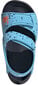Adidas Sandales Bērniem AltaSwim C Blue цена и информация | Bērnu sandales | 220.lv