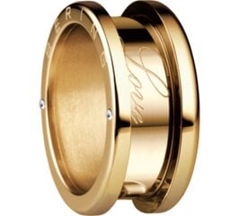 Часы Bering 520-20-84 цена и информация | Кольца | 220.lv