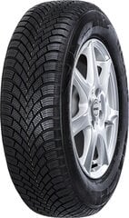 Nexen Winguard Snow G 3 (WH21) 255/55R16 98 H цена и информация | Зимние шины | 220.lv