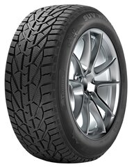 Taurus/Kormoran Winter 225/45R18 95 V XL цена и информация | Зимние шины | 220.lv