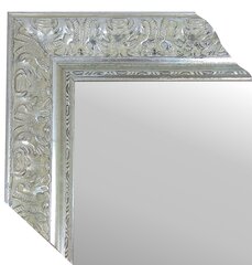 Spogulis Nola 40x50 cm, sudrabainas krāsas cena un informācija | Spoguļi | 220.lv