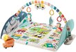 Attīstošs paklājiņš Fisher-Price Joyful Journeys Jumbo, FP-GYM05 cena un informācija | Attīstošie paklājiņi | 220.lv