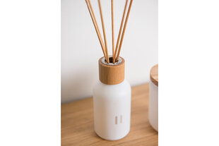 Домашний аромат с палочками Rento Birch, 100 мл цена и информация | Ароматы для дома | 220.lv