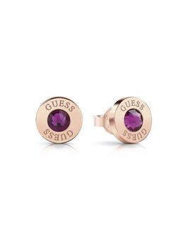 Серьги женские Guess UBE78105 цена и информация | Серьги | 220.lv