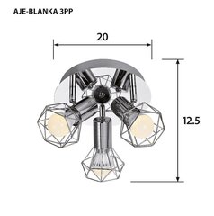 Activejet потолочный светильник AJE-Blanka 3PP цена и информация | Потолочные светильники | 220.lv