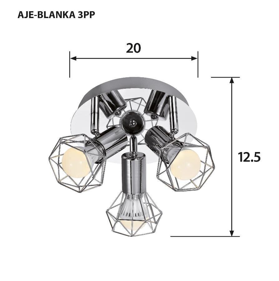 Activejet griestu lampa AJE-Blanka 3PP цена и информация | Griestu lampas | 220.lv