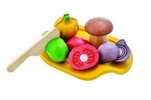 Набор игрушечных овощей Planatoys "Assorted Vegetables set" цена и информация | Plan Toys Товары для детей и младенцев | 220.lv