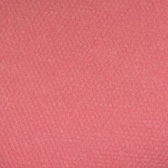 Vaigu sārtumi IsaDora Perfect, 4,5 g, 05 Coral Pink cena un informācija | Bronzeri, vaigu sārtumi | 220.lv