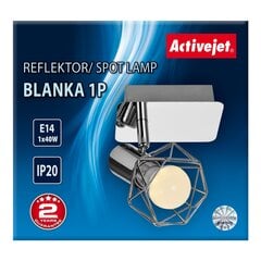 Activejet настенный светильник AJE-Blanka Silver 1P цена и информация | Настенные светильники | 220.lv