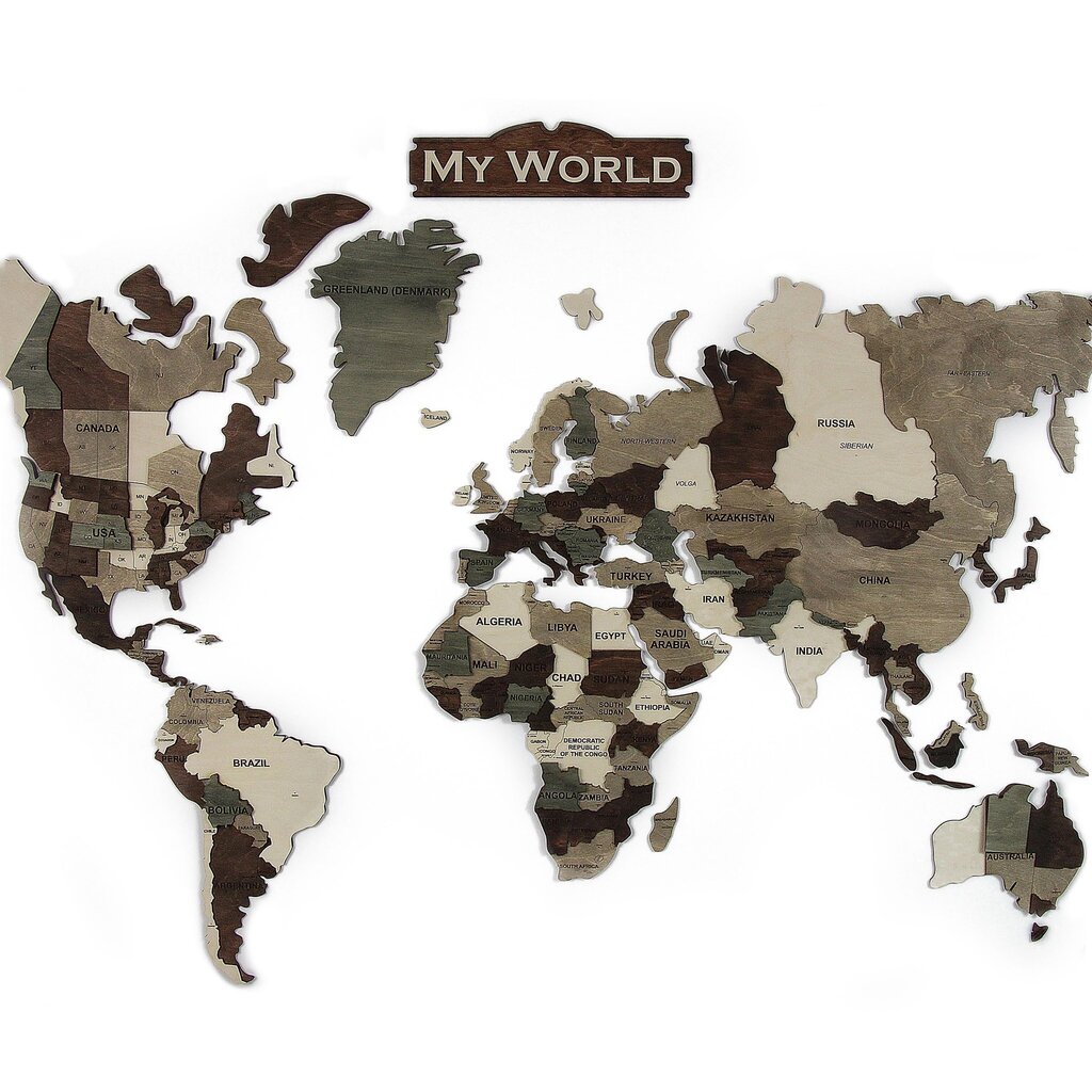 Koka pasaules karte цена и информация | Gleznas | 220.lv