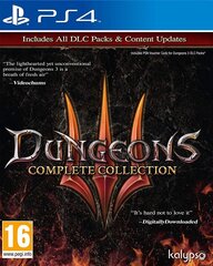 Dungeons 3 Complete Collection PS4 цена и информация | Игра SWITCH NINTENDO Монополия | 220.lv