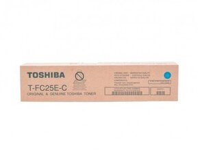 Toshiba 6AJ00000072 cena un informācija | Kārtridži lāzerprinteriem | 220.lv