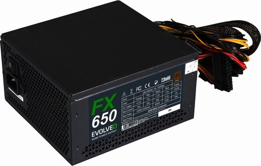 Evolveo FX650 cena un informācija | Barošanas bloki (PSU) | 220.lv