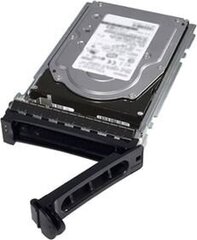 Dell 400-BJTI цена и информация | Внутренние жёсткие диски (HDD, SSD, Hybrid) | 220.lv