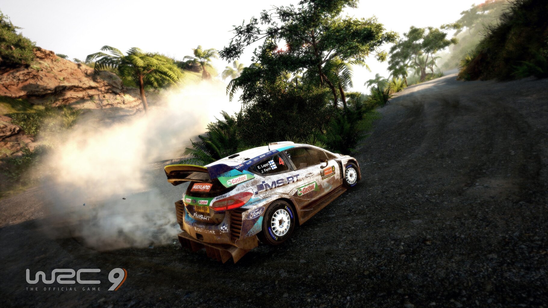 PS4 WRC 9: FIA World Rally Championship цена и информация | Datorspēles | 220.lv