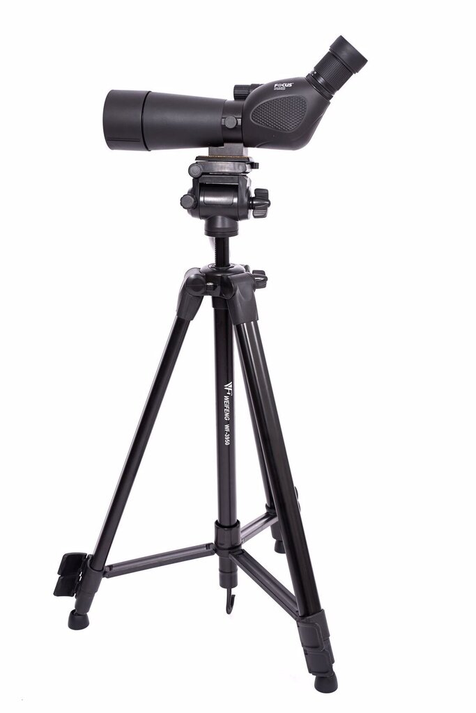 Focus Hawk 20-60X60 + TRIPOD 3950 cena un informācija | Binokļi | 220.lv