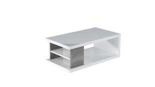 Журнальный столик ADRK Furniture Luke, белый/серый цена и информация | Журнальные столики | 220.lv