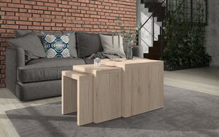 3-ju galdiņu komplekts ADRK Furniture Basel, ozola krāsas cena un informācija | Žurnālgaldiņi | 220.lv