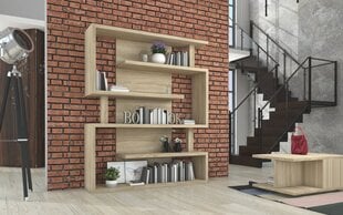 Полка ADRK Furniture Felipe, 185x151 см, цвета дуба цена и информация | Полки | 220.lv