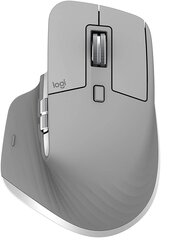 Logitech 910-005695, pelēks cena un informācija | Peles | 220.lv