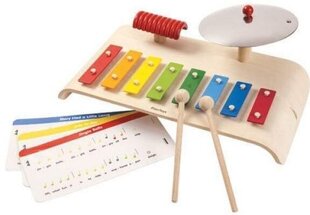 Музыкальный инструмент PlanToys Musical set цена и информация | Развивающие игрушки | 220.lv