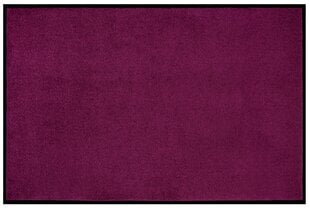 Дверной коврик Violet 40x60 см цена и информация | Придверные коврики | 220.lv
