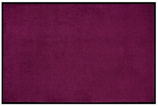 Дверной коврик Violet 80x120 см цена и информация | Придверные коврики | 220.lv