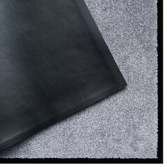 Durvju paklājiņš Silver 40x60 cm cena un informācija | Kājslauķi | 220.lv