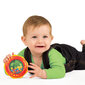 Muzikāla rotaļlieta Halilit, 5 gab. цена и информация | Rotaļlietas zīdaiņiem | 220.lv