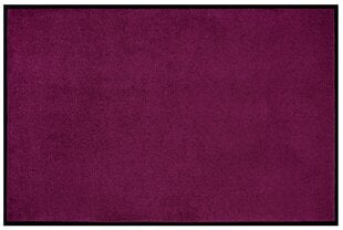 Durvju paklājiņš Violet 90x150 cm cena un informācija | Kājslauķi | 220.lv