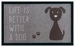 Durvju paklājiņš Life is better with a dog 45x75 cm cena un informācija | Kājslauķi | 220.lv